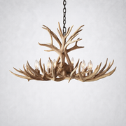 Moonlit Antler Chandelier 36