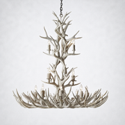 Moonlit Antler Chandelier 48