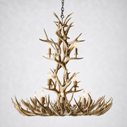 Moonlit Antler Chandelier 48