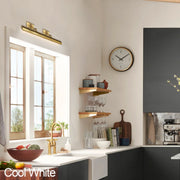 Oriel Picture Light