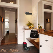 Oriel Picture Light